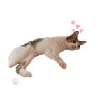 ぷーちゃん♥（個別スタンプ：7）