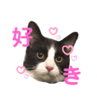 PJ＆POCHI＆KAYO/（個別スタンプ：9）