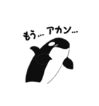 煽りシャチくん2（個別スタンプ：6）