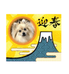 わんこの気持ちでお答え（個別スタンプ：3）