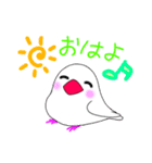 白文鳥が大好きすぎる件（個別スタンプ：1）