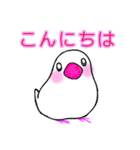 白文鳥が大好きすぎる件（個別スタンプ：2）