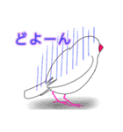 白文鳥が大好きすぎる件（個別スタンプ：7）