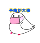 白文鳥が大好きすぎる件（個別スタンプ：12）