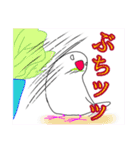 白文鳥が大好きすぎる件（個別スタンプ：16）