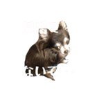 らい君2021（個別スタンプ：7）