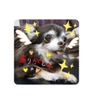 らい君2021（個別スタンプ：8）