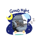 猫のぷく2（個別スタンプ：2）