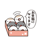 とりだんご文鳥 part2（個別スタンプ：30）