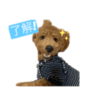 ノエルすたんぷ！そのいち（個別スタンプ：7）