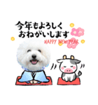 わらびスタンプ4（個別スタンプ：1）