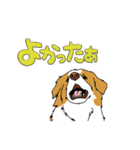 ボーダーコリー ノア 敬語 (大きな文字)（個別スタンプ：2）