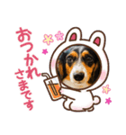サナの会話（個別スタンプ：1）