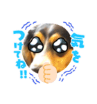 サナの会話（個別スタンプ：4）