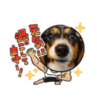 サナの会話（個別スタンプ：5）