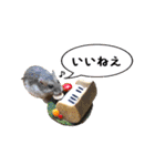 ぼひたんwithぽんたま（個別スタンプ：1）