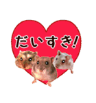 ぼひたんwithぽんたま（個別スタンプ：4）