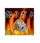 ぼひたんwithぽんたま（個別スタンプ：7）
