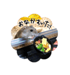 ぼひたんwithぽんたま（個別スタンプ：19）