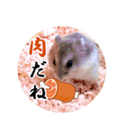 ぼひたんwithぽんたま（個別スタンプ：30）