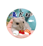 ぼひたんwithぽんたま（個別スタンプ：31）