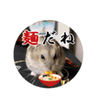 ぼひたんwithぽんたま（個別スタンプ：32）