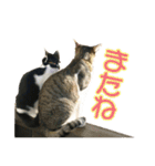 ビビ＆カカ 3（個別スタンプ：4）
