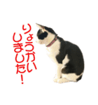 ビビ＆カカ 3（個別スタンプ：7）
