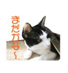 ビビ＆カカ 3（個別スタンプ：11）