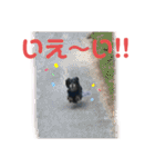 ダックスの日常③（個別スタンプ：22）