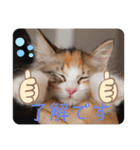 キャラたんスタンプ（個別スタンプ：9）