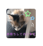 キャラたんスタンプ（個別スタンプ：12）