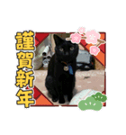 あーちんとうーとさんの年始のあいさつ（個別スタンプ：3）
