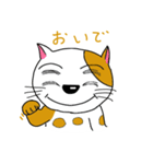 四つ目猫（個別スタンプ：4）