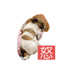 花魁さんとはいからさん（個別スタンプ：22）
