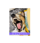 花魁さんとはいからさん（個別スタンプ：25）