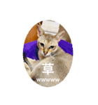 花魁さんとはいからさん（個別スタンプ：26）