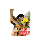 花魁さんとはいからさん（個別スタンプ：27）