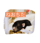 花魁さんとはいからさん（個別スタンプ：28）