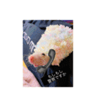 花魁さんとはいからさん（個別スタンプ：29）