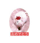 花魁さんとはいからさん（個別スタンプ：30）
