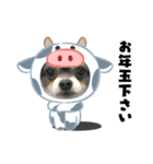 プロペラ4（個別スタンプ：7）