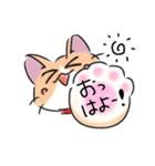 にくきゅうが主役です。ねこ（個別スタンプ：1）