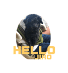 ジロ犬♪（個別スタンプ：1）