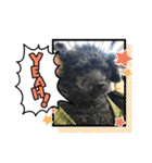 ジロ犬♪（個別スタンプ：5）