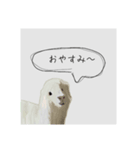 動物すたんぷ！！！（個別スタンプ：6）