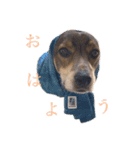 ジョンうる 第三弾（個別スタンプ：2）