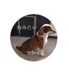 ジョンうる 第三弾（個別スタンプ：15）
