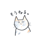 ゆるねこ。ときどき大阪弁。（個別スタンプ：40）