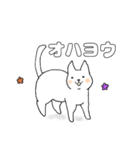 毎日のしろいねこ（個別スタンプ：1）